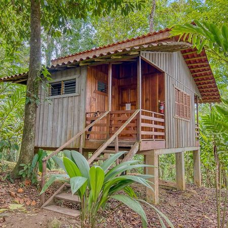Selva Bananito Lodge Westfalia Kültér fotó
