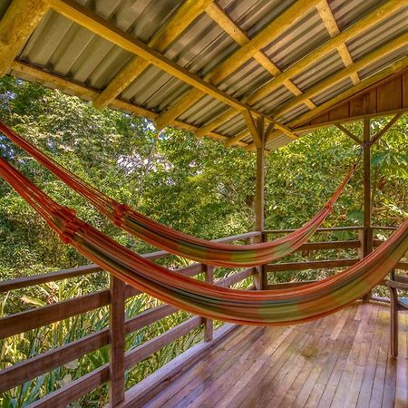 Selva Bananito Lodge Westfalia Kültér fotó