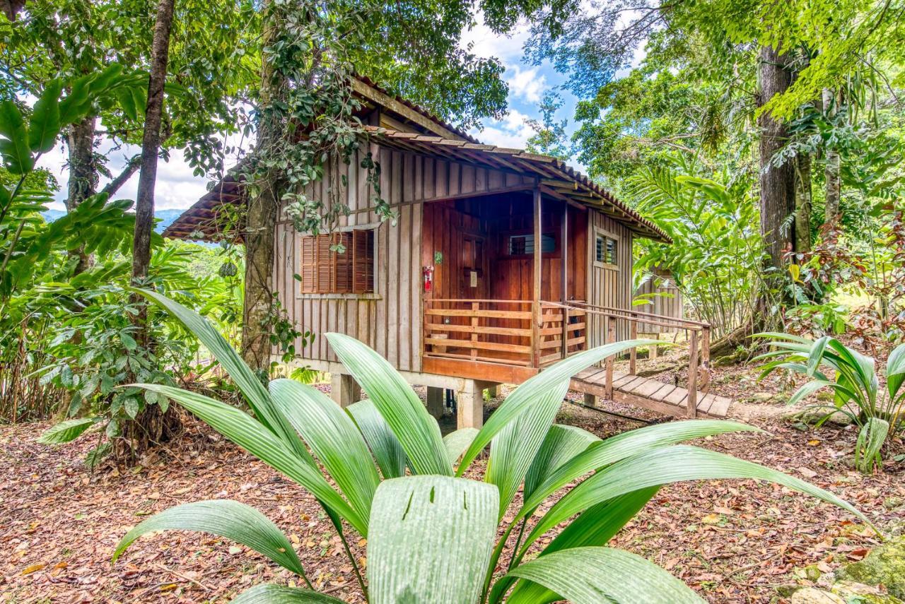 Selva Bananito Lodge Westfalia Kültér fotó