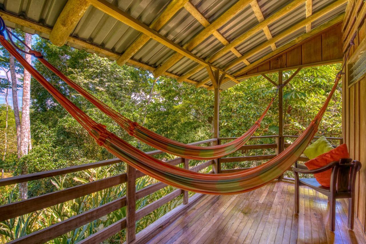 Selva Bananito Lodge Westfalia Kültér fotó