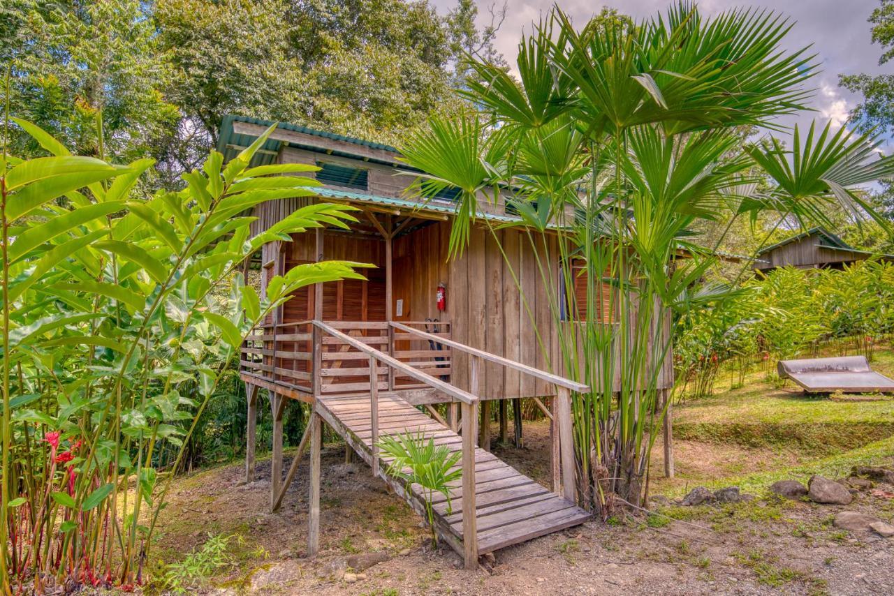 Selva Bananito Lodge Westfalia Kültér fotó